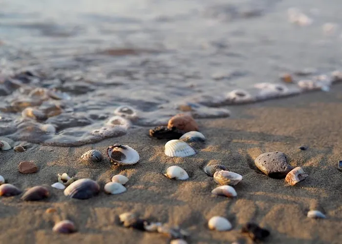 Enjoy The Serenity On Our Beautiful Terrace - Beahost Lägenhet *