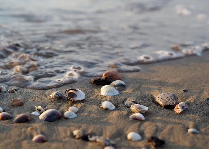 Enjoy The Serenity On Our Beautiful Terrace - Beahost Lägenhet Bibione